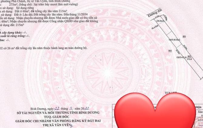 Đất nền đường DX27, Phú Chánh, 270m² giá 2 tỷ - Cơ hội đầu tư tuyệt vời!