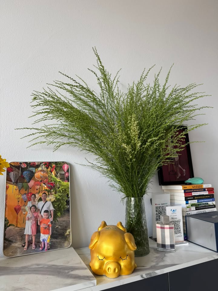 Đất nền Hương Sơn, Mỹ Đức 100m² giá 2 tỷ - Lô góc siêu hiếm!