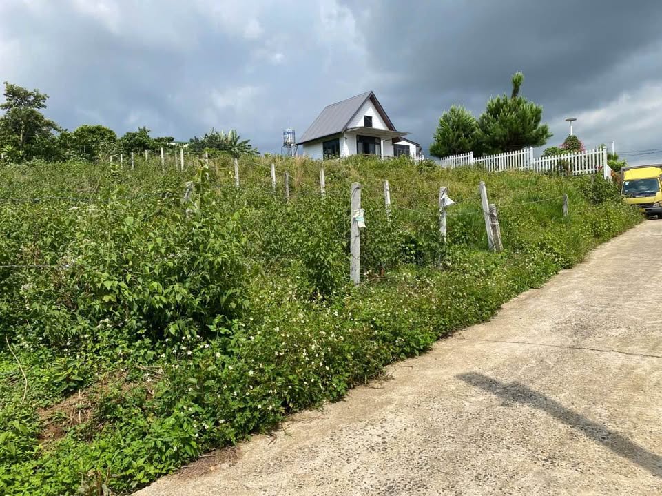 Đất nền Hẻm 88 Nguyễn Thiện Thuật, Lộc Châu 380m² giá chỉ 1.88 tỷ - Cơ hội đầu tư tuyệt vời!