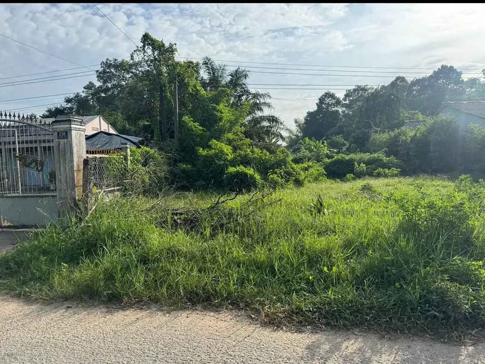 Bán đất mặt tiền Nhựa Kiên Thị Nhẫn, Trà Vinh 249m² - Đất cao ráo, dân cư đông đúc!