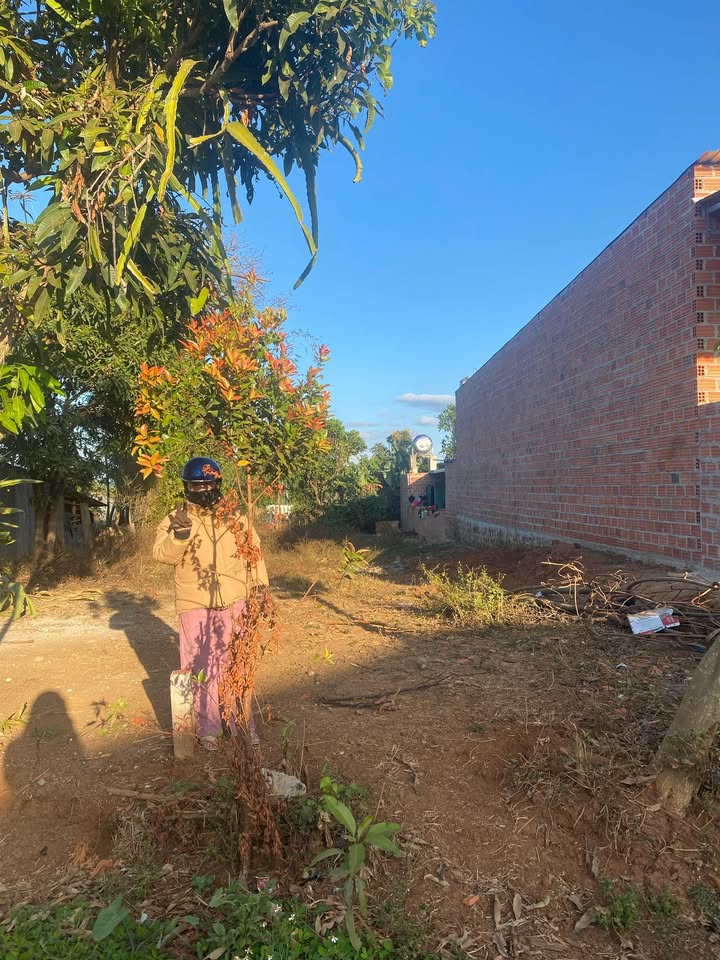 Cho thuê mặt bằng kinh doanh tại làng Wau, Pleiku - Địa điểm lý tưởng cho phát triển