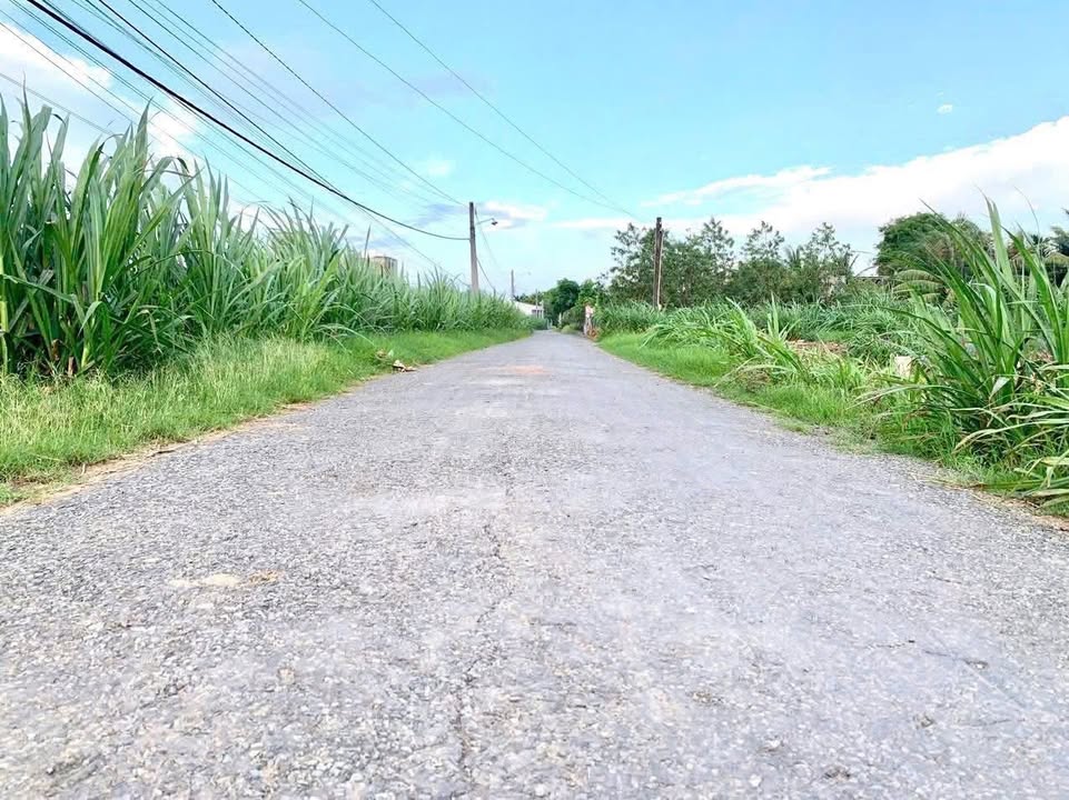 Đất thổ cư mặt tiền đường Bà Lễ, Gò Công 200m² giá 650 triệu - Cơ hội đầu tư hấp dẫn!