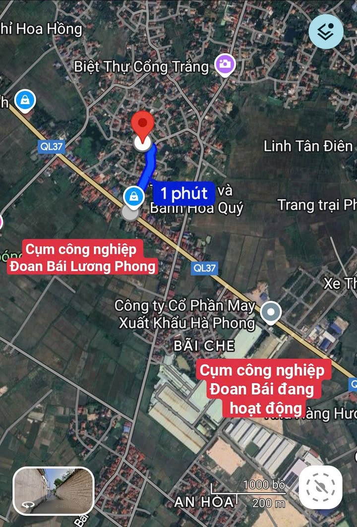 Đất thổ cư 195m² tại Lương Phong, Hiệp Hòa - Đầu tư sinh lời từ nhà trọ công nhân!