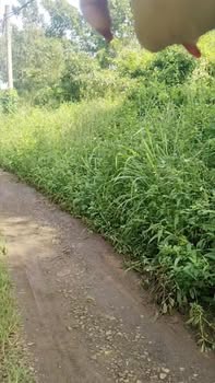 Đất nền Phú Hòa Định Quán 1339m² - Cơ hội đầu tư tuyệt vời!