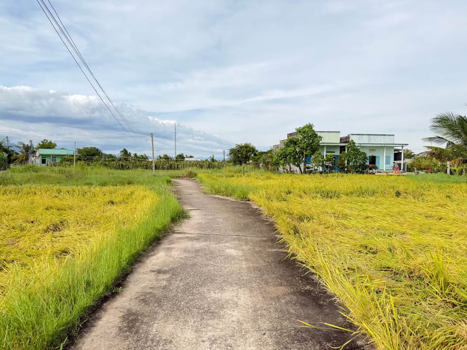 Đất thổ cư Hàm Liêm 200m² giá 1.65 tỷ - Chính chủ bán gấp!