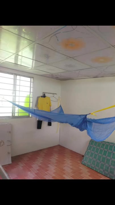 Nhà gắn liền với đất tại Phường An Hội, Vĩnh Long 480m² - Đầu tư sinh lời ngay!