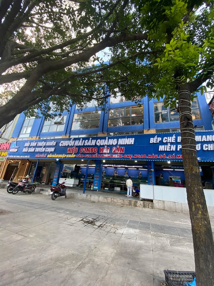 Mặt bằng kinh doanh mặt phố Giảng Võ 150m² - Vỉa hè rộng, dễ dàng nhận diện thương hiệu!
