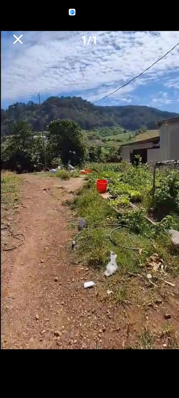 Đất nông nghiệp Phú Hội, Đức Trọng, Lâm Đồng 360m² giá chỉ 129.6 triệu - Cơ hội sở hữu nhà nhỏ!