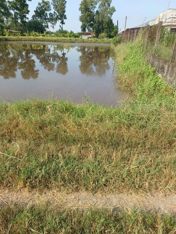 Đất nền Hiệp Hòa, Đức Hòa 150m² giá 530 triệu - Cơ hội đầu tư hấp dẫn!