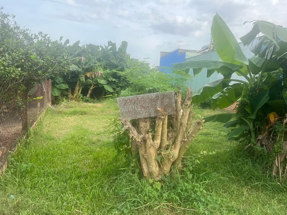 Đất thổ cư Đức Lập Hạ, Long An 240m² giá chỉ 850 triệu - Cơ hội đầu tư tuyệt vời!