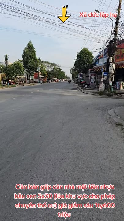 Đất thổ cư 150m² ấp Bầu Sen, Đức Lập Hạ chỉ 1.6 tỷ - Cơ hội đầu tư hấp dẫn!