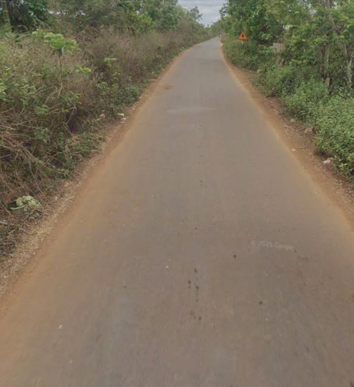 Đất mặt tiền đường nhựa 80m tại Eatul, Cư M'gar - Diện tích 1ha, Thích hợp làm kho xưởng!