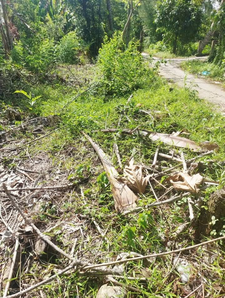 Đất nền Thới An Đông, Bình Thủy 198m² giá 550 triệu - Đầu tư sinh lời ngay!