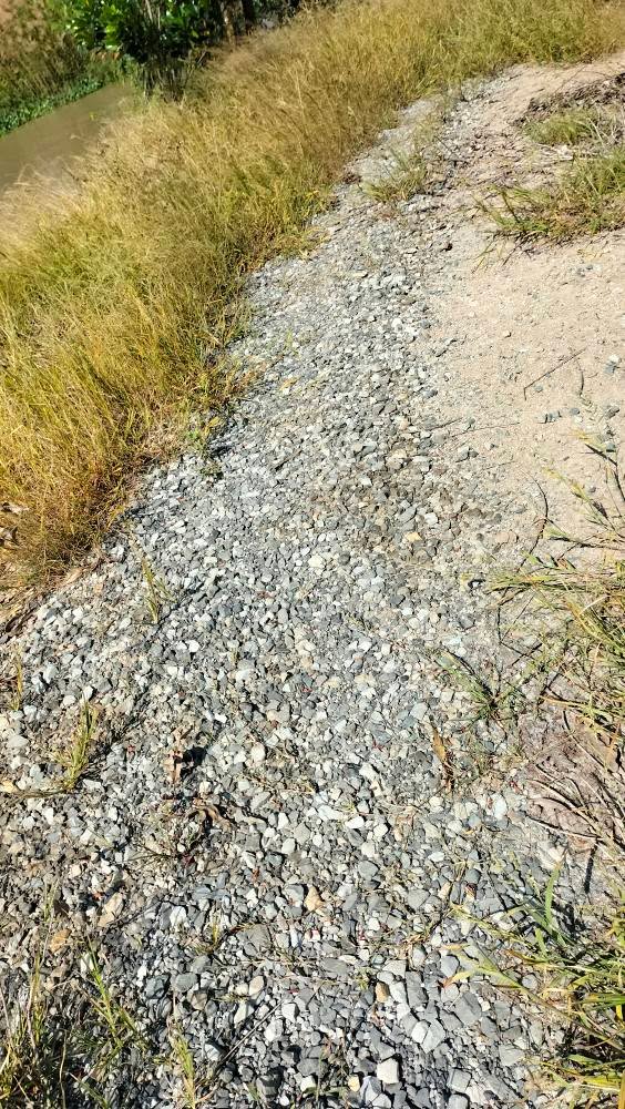 Đất nền Vĩnh Châu A, Tân Hưng 100.000m² giá chỉ 1.2 tỷ - Đầu tư sinh lợi cao!