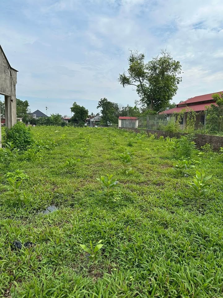 Lô đất Kha Sơn 2000m² giá chỉ 3 tỷ - Đầu tư sinh lời ngay!