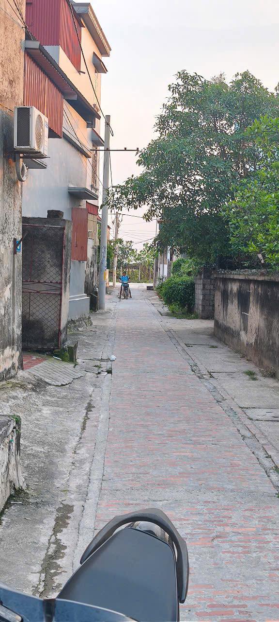 Đất nền Tri Trung, Phú Xuyên 42,5m² giá 1,89 tỷ - Cơ hội đầu tư hấp dẫn!