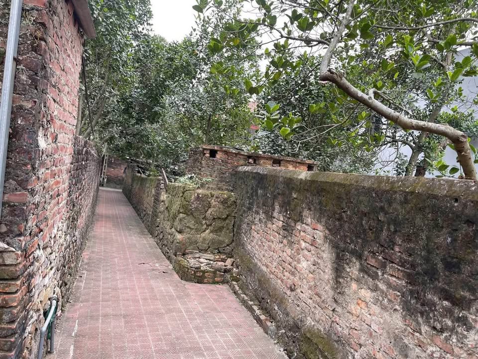 Đất vườn nghỉ dưỡng Việt Đoàn 245m² giá 2.05 tỷ - Cơ hội đầu tư hiếm có!