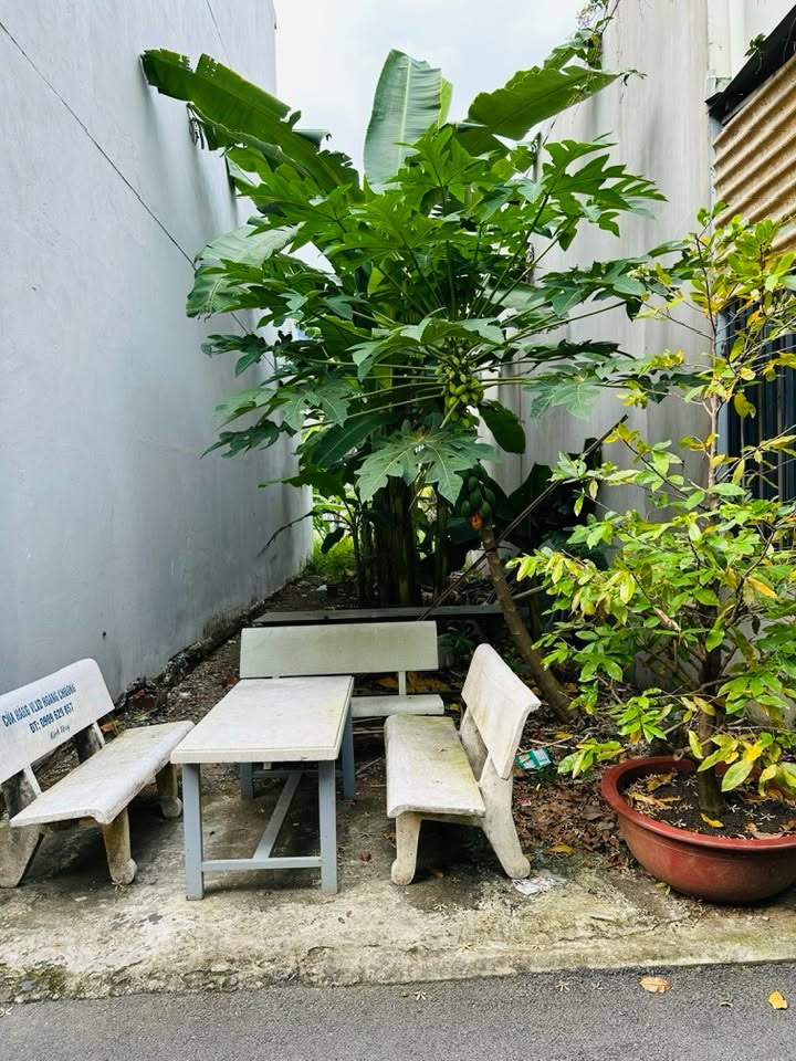 Đất phân lô đường Cây Keo, Tam Phú 67m² giá 5.5 tỷ - Sổ hồng chính chủ, xây dựng tự do!