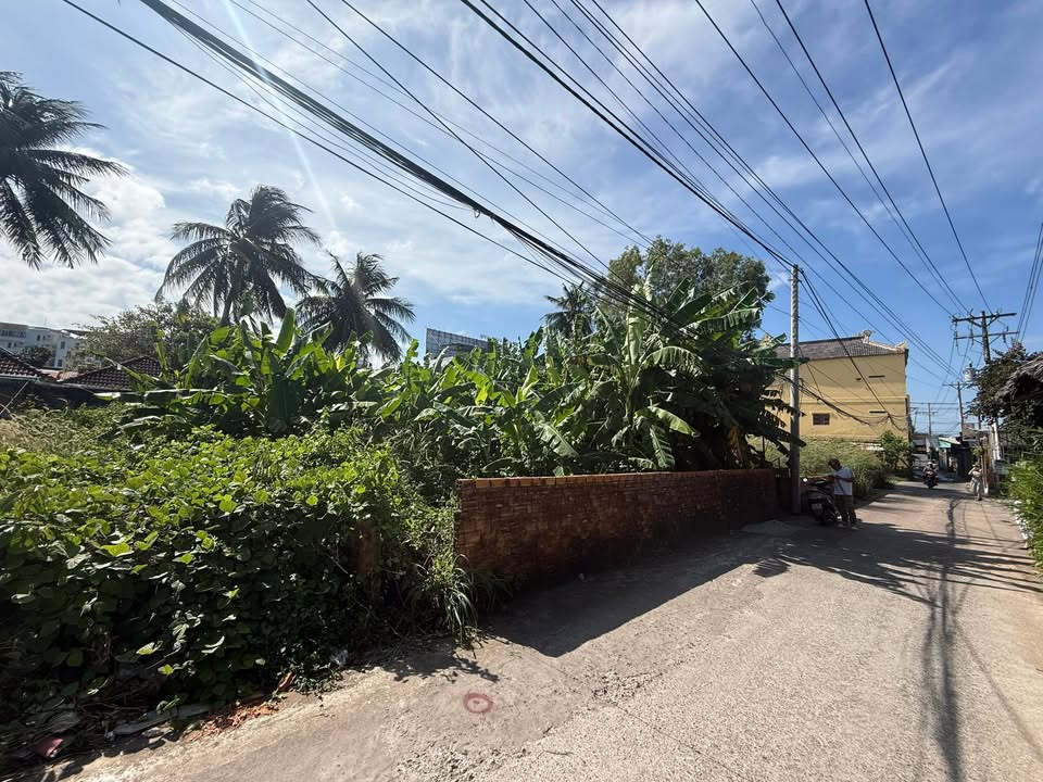 Lô đất OĐT Trần Hưng Đạo, Dương Đông, Phú Quốc 156.8m² - Tiềm năng đầu tư vượt trội!