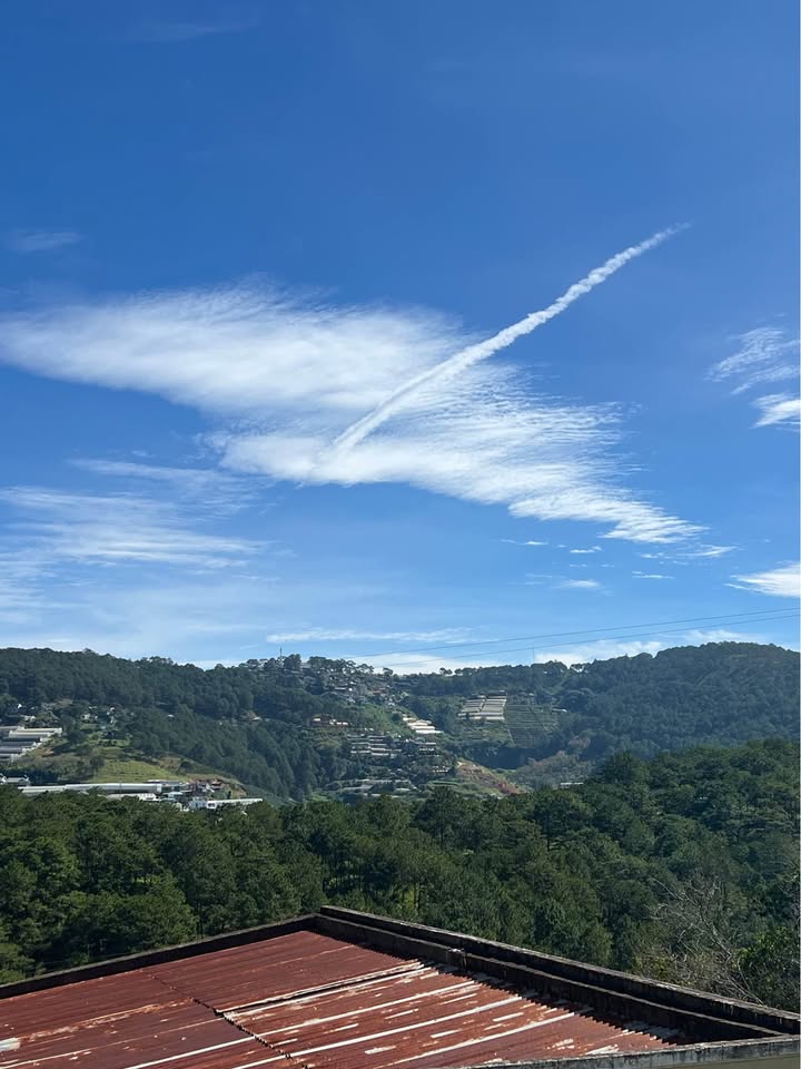 Homestay Đà Lạt 182m² giá 9.2 tỷ - View rừng thông vĩnh viễn!