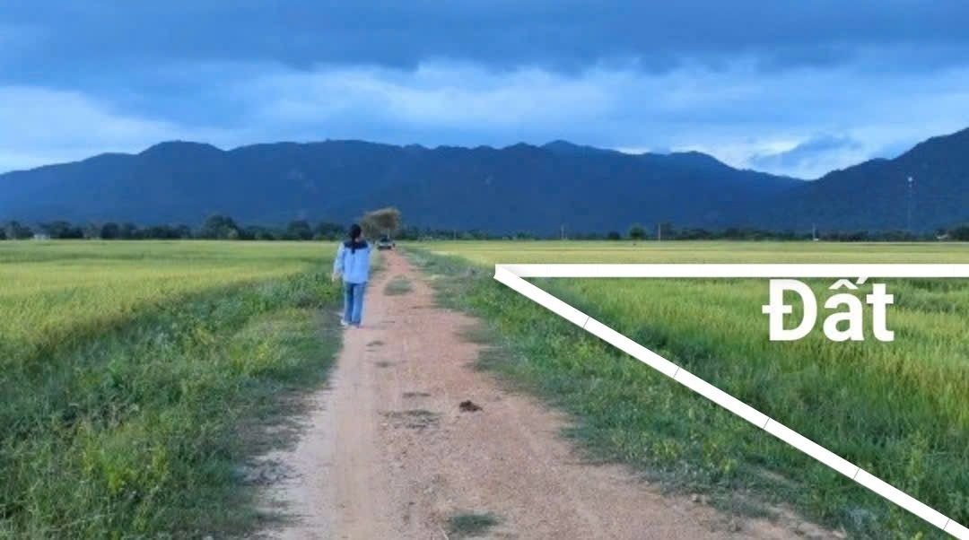 Đất nền chính chủ Hải Ninh, Bắc Bình 12,960m² chỉ 270 triệu - Pháp lý rõ ràng!