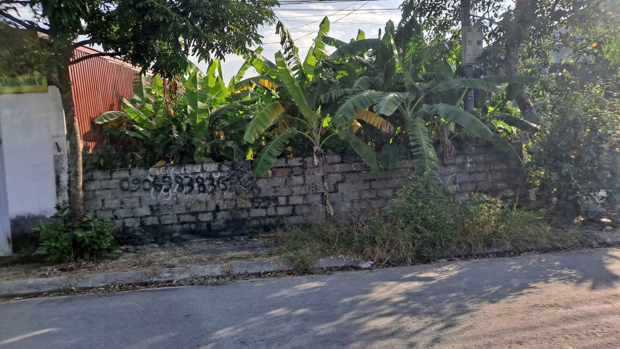 Đất nền mặt đường Hoà Nghĩa, Dương Kinh, Hải Phòng 102m² - Tiềm năng tăng giá cao!