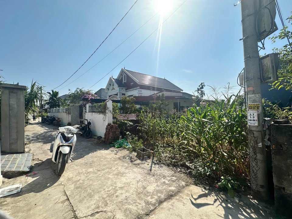 Đất nền tại Nhất Trí, Đặng Cương, An Dương - Diện tích 60m², Giá 1 tỷ - Đầu tư sinh lời!