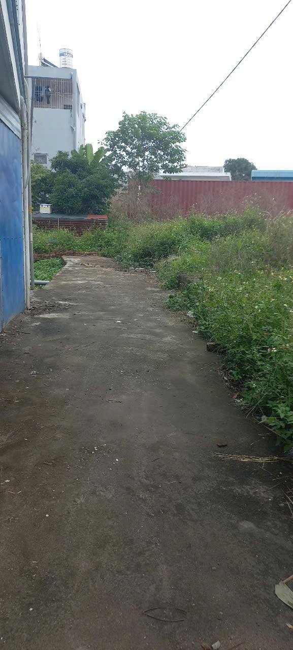 Đất nền Hùng Vương, Hồng Bàng 46m² giá chỉ 9xx triệu - Tiềm năng đầu tư lớn!