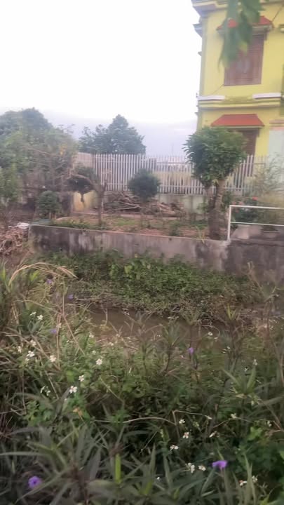 Lô đất thổ cư 100m² hướng Nam tại xã Xuân Phú - Giá chỉ 1 tỷ VND!