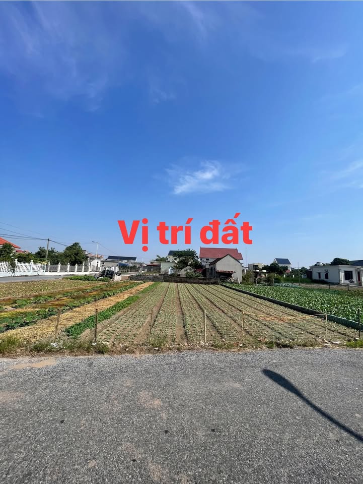 Lô đất Giao Phong 390m² giá thỏa thuận - Đầu tư sinh lời tại Nam Định!