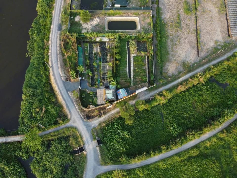 Đất vườn Củ Chi 576m² giá 2.8 tỷ - Gần Vành Đai 3, sẵn sàng sử dụng!