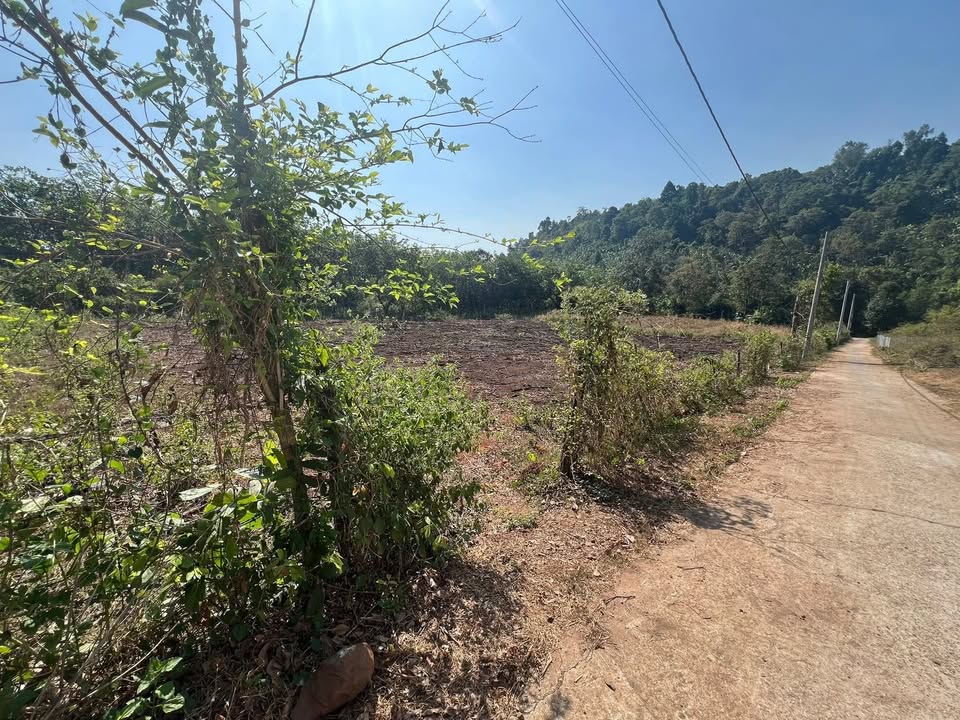 Đất nền Ngãi Giao, Châu Đức 4320m² giá 2.6 tỷ - Cơ hội đầu tư tuyệt vời!