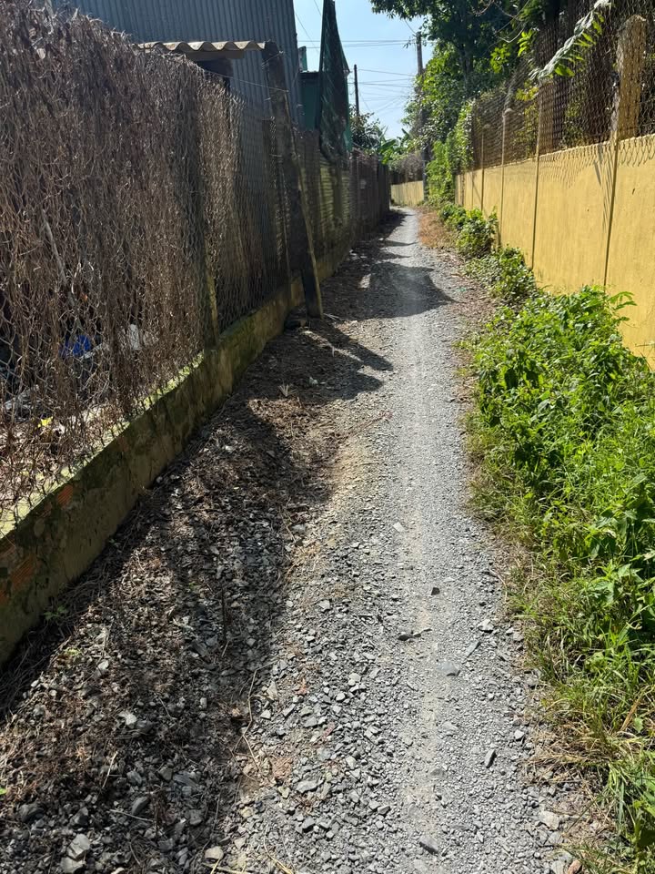 Đất nền An Thạnh Thủy Chợ Gạo 2000m² giá 375 triệu - Cơ hội sở hữu ngay!