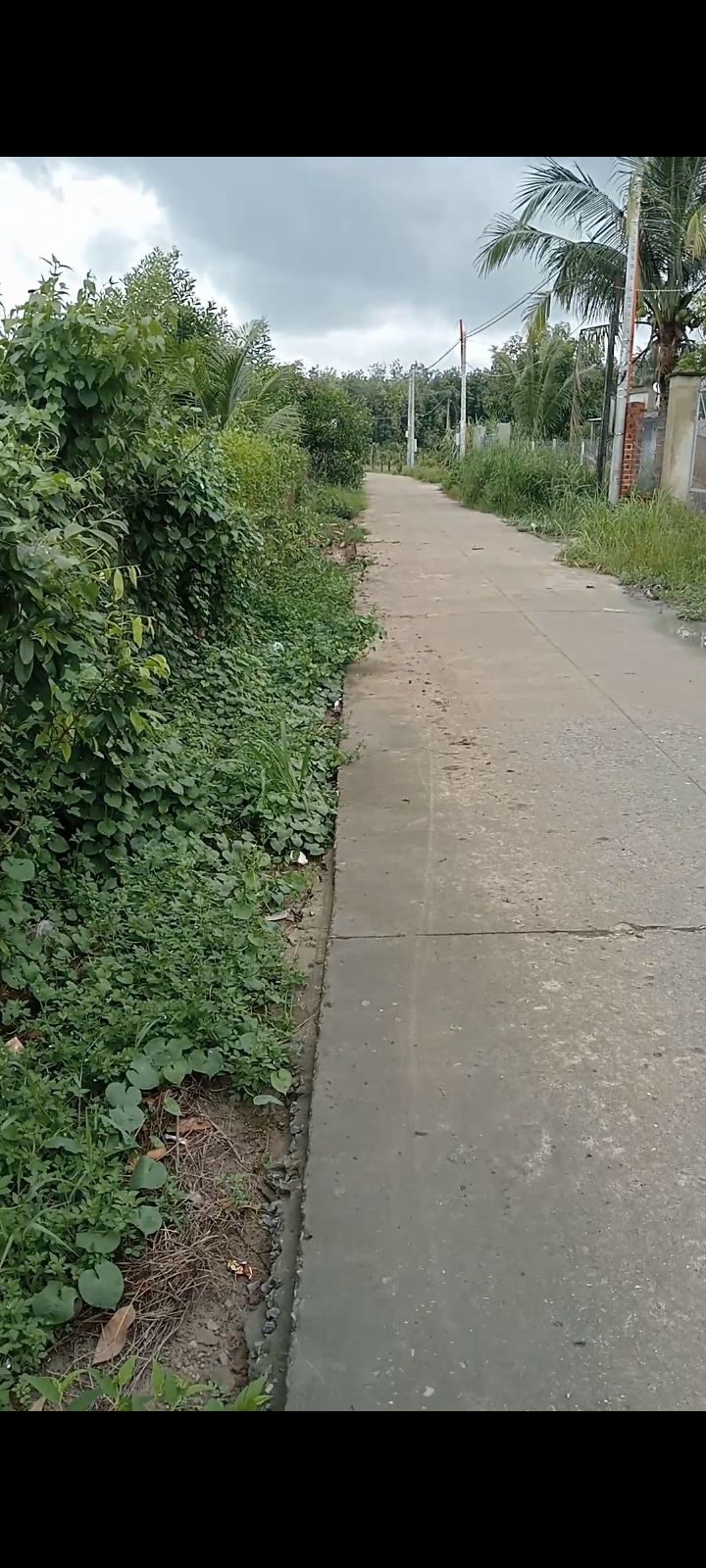 Đất nền Thạnh Đông Tân Châu 252m² - Sát Ủy ban xã, giá thỏa thuận!