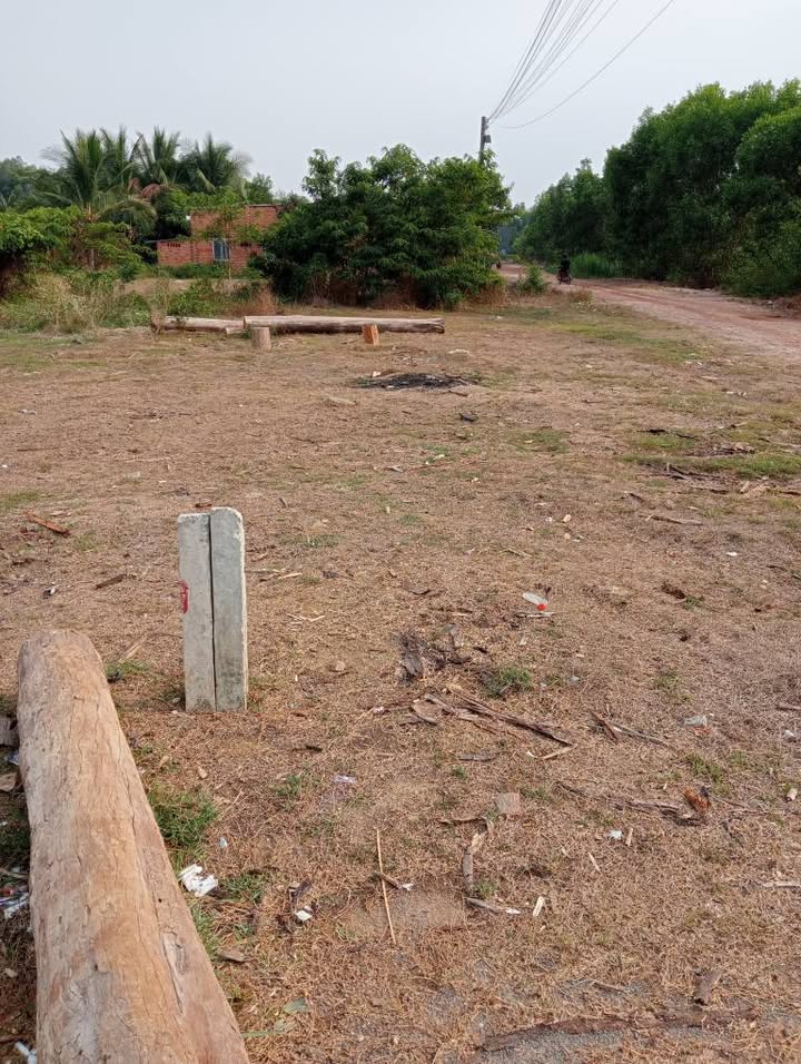 Đất nền đường nhựa Đồng Kèn 2, Tân Thành, Tân Châu, Tây Ninh 186m² - Mặt tiền rộng thuận lợi cho kinh doanh!