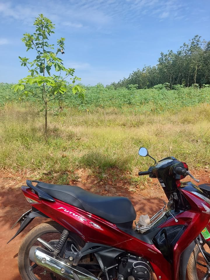 Đất nền Long Bình Phú Riềng 22,000m² giá thỏa thuận - Đầu tư sinh lời ngay!