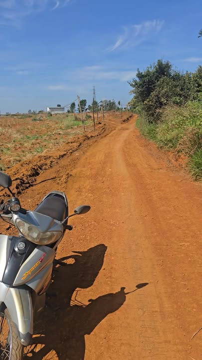 Đất nền 5ha tại xã Nâm N'Jang, Đắk Song - Giá chỉ 3.5 tỷ VND!