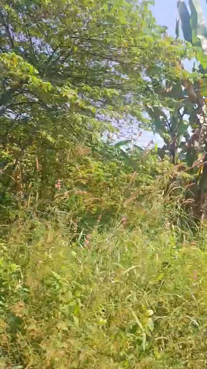 Đất nền Biên Hòa 946m² giá 7.572 tỷ - Sổ hồng chính chủ, thuận tiện xây dựng!