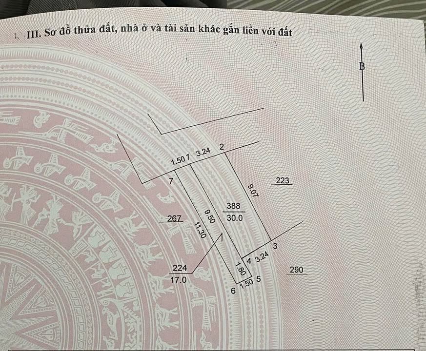 Đất Xuân Đỉnh 30m² - Lô Góc - Gần Công Viên Hòa Bình, Giá 7.3 Tỷ