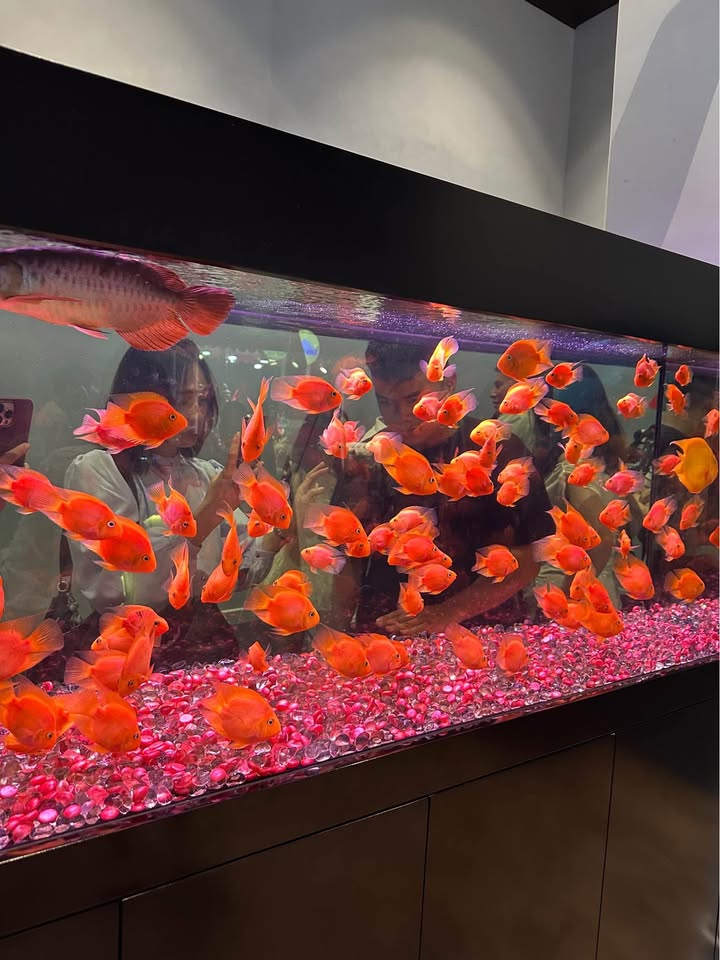 Đất nền Thạch Hạ, Hà Tĩnh 144m² giá 2.7 tỷ - Hạ tầng đồng bộ cực đẹp!