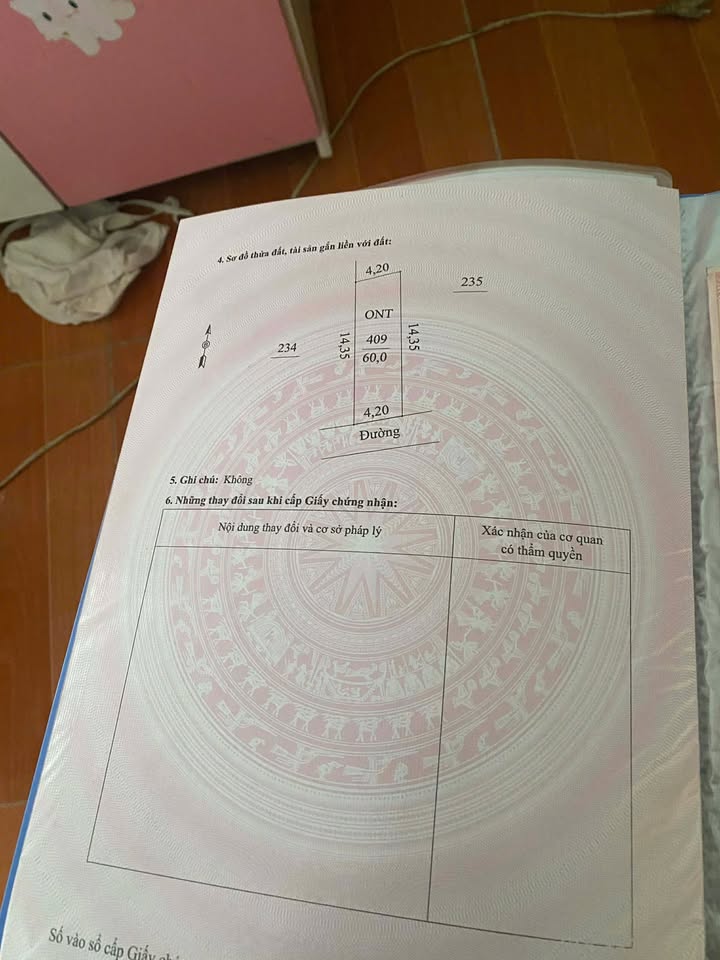 Đất nền Thái Minh, Bình Giang 60m² giá 900 triệu - Pháp lý rõ ràng, gần tiện ích!