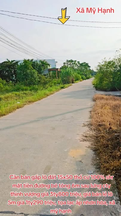 Đất nền ấp Nhơn Hòa, Đức Hòa, Long An 750m² giá 3.8 tỷ - Sổ hồng chính chủ, thổ cư 100%!