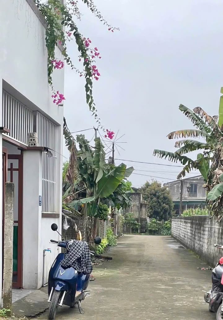 Đất nền Nghi Kim, Vinh 69m² giá 1.6 tỷ - Cơ hội đầu tư hấp dẫn!