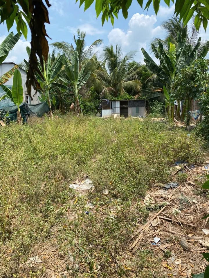 Bán lô đất nở hậu 366.5m² tại thôn Phú Bình, Nha Trang - Giá chỉ 4.2 tỷ!