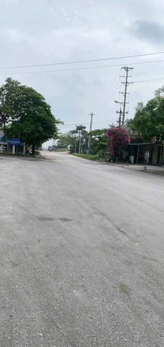 Đất nền Bạch Đằng, Quảng Hưng, Thanh Hóa 139m² chỉ 1.48 tỷ - Đầu tư sinh lời ngay!