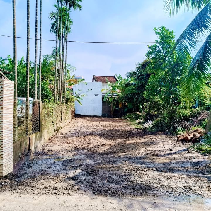 Đất nền Hòa Xuân Đà Nẵng 145m² giá 2.6 tỷ - Vị trí đắc địa gần chợ và trường học!