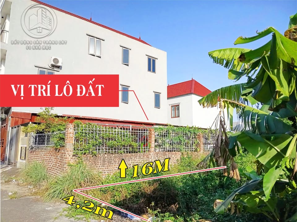 Lô đất Tràng Cát 69,2m² giá 1.8 tỷ - Cơ hội đầu tư không thể bỏ lỡ!