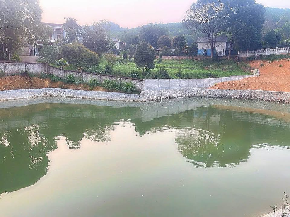 Đất Farm Vân Hòa Ba Vì 9600m² giá 4 tỷ - View núi tuyệt đẹp!