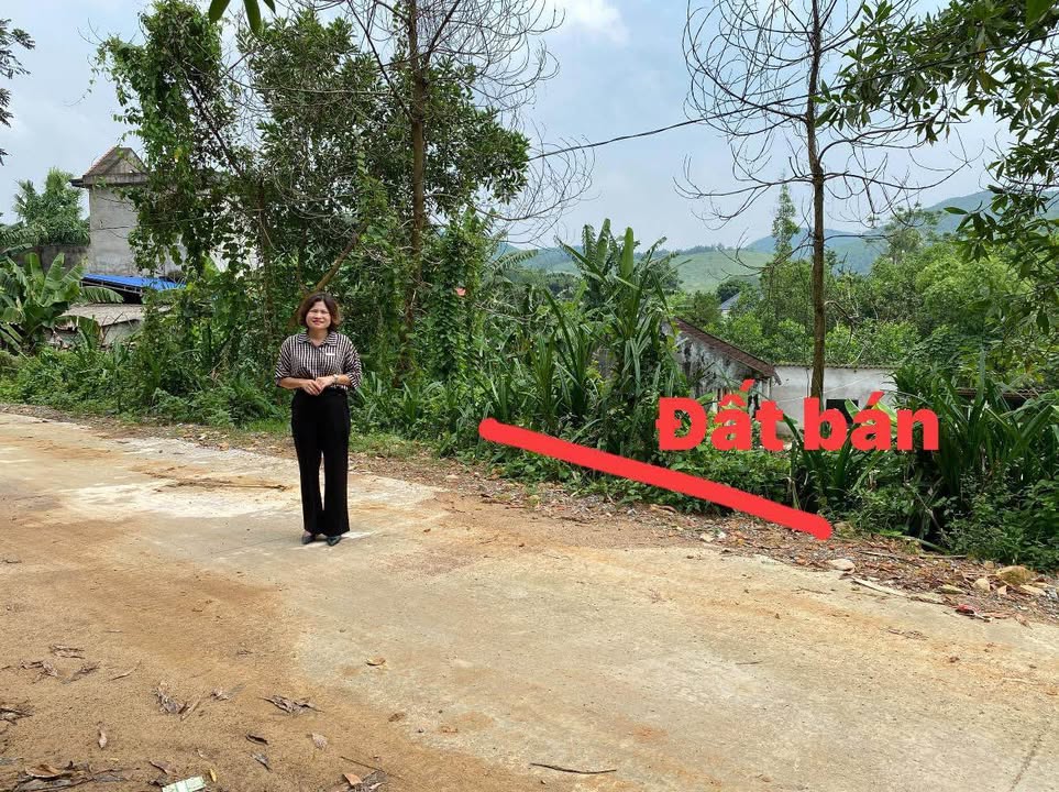 Đất thổ cư Hữu Lợi Yên Thủy 261m² giá chỉ 270 triệu - Cơ hội vàng cho nhà đầu tư!