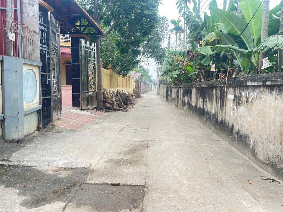 Đất nền lô góc 85m² tại Hoàng Kim, Mê Linh - Giá chỉ 3 tỷ VND!